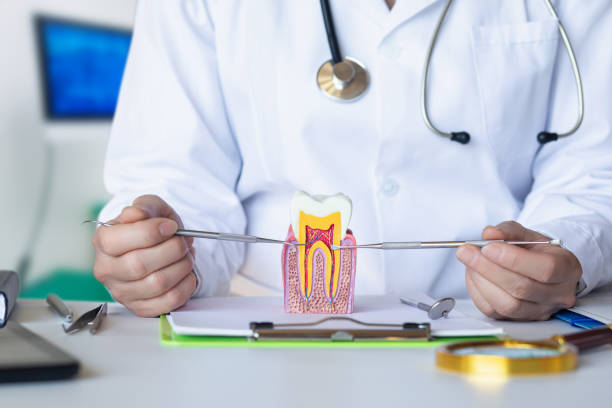 Best Walk-In Emergency Dental Services in Parsons, WV